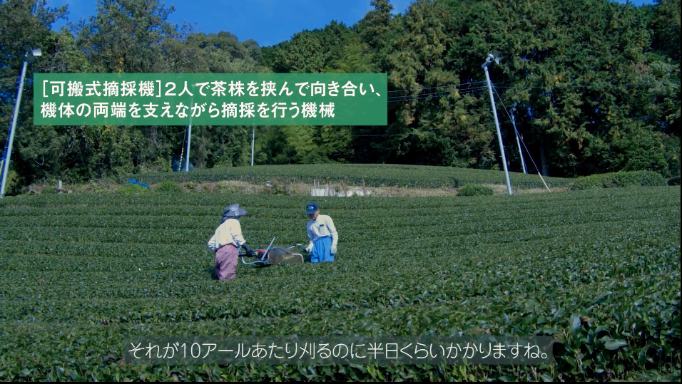 可搬式摘採機
