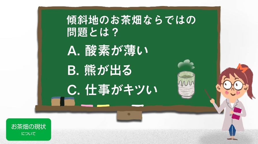 傾斜地のお茶畑ならではの問題とは?