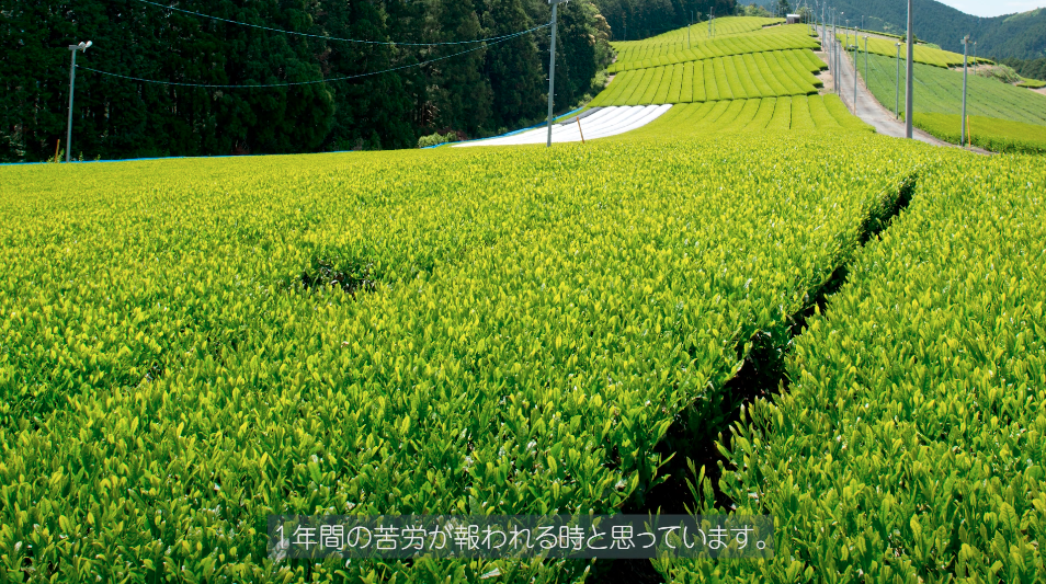 一年間の苦労が報われる時
