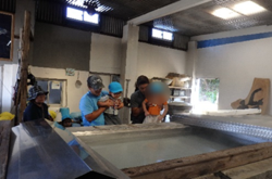 ブールシはいハイの日