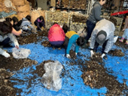 ふくい食と農の博覧会