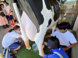  大内山酪農見学