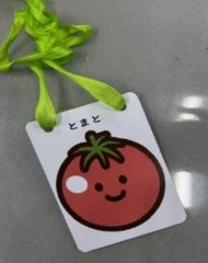 高生向け食育