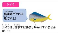 シイラ