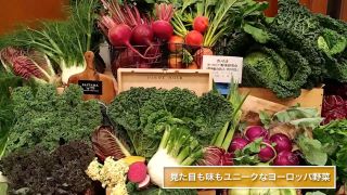 さいたまヨーロッパ野菜研究会
