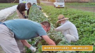 めぐみの農業協同組合　春里支店