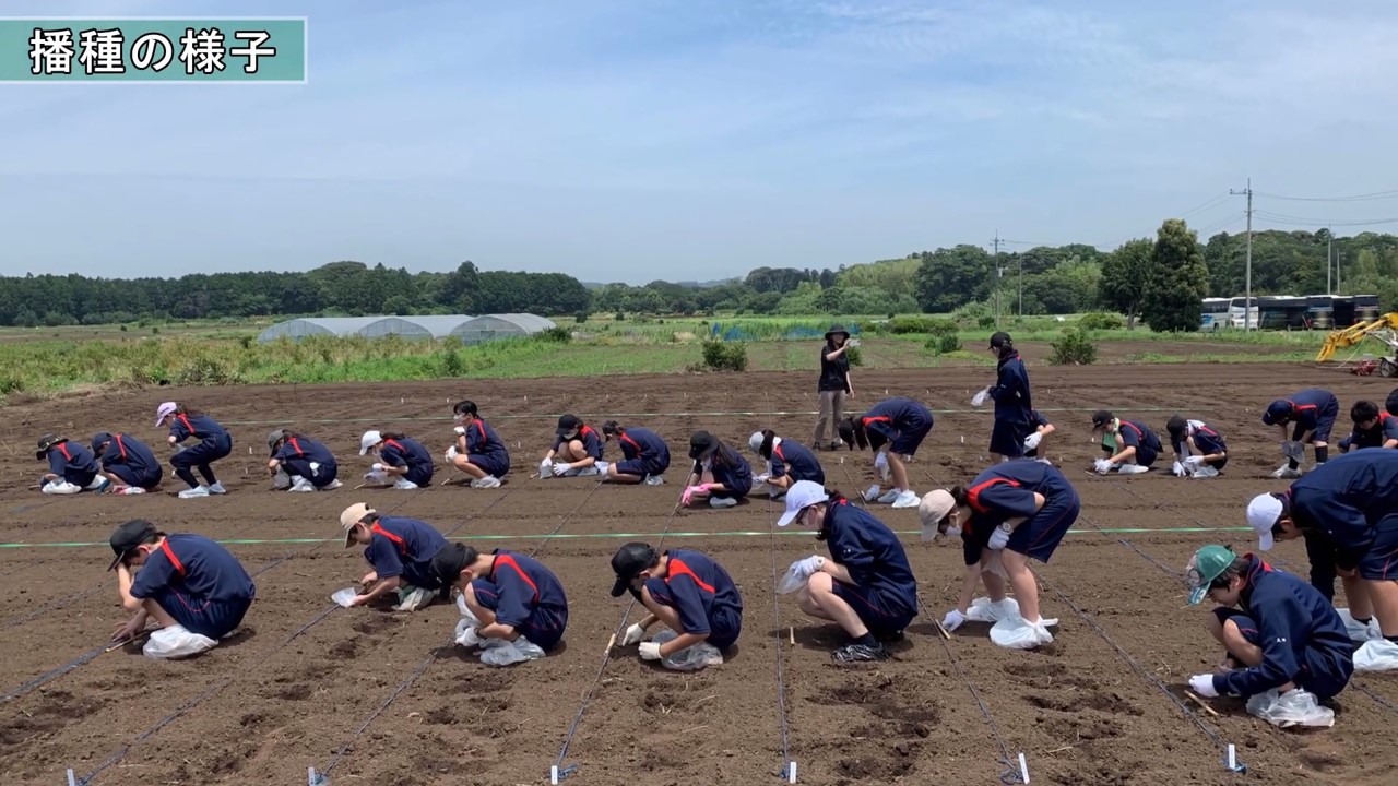 鈴木芳昭