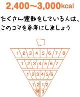 2,400～3,000kcal　たくさん運動をしている人は、このコマを参考にしましょう