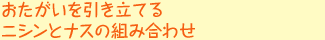 おたがいを引き立てるニシンとナスの組み合わせ