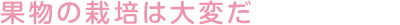 果物の栽培は大変だ