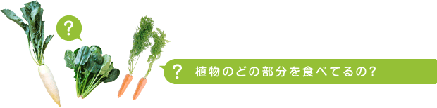 植物のどの部分を食べてるの?