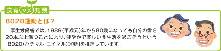 食育豆知識：8020運動とは？
厚生労働省では、1989（平成元）年から80歳になっても自分の歯を20本以上保つことにより、健やかで楽
しい食生活を過ごそうという「8020（ハチマル・ニイマル）運動」を推進しています。