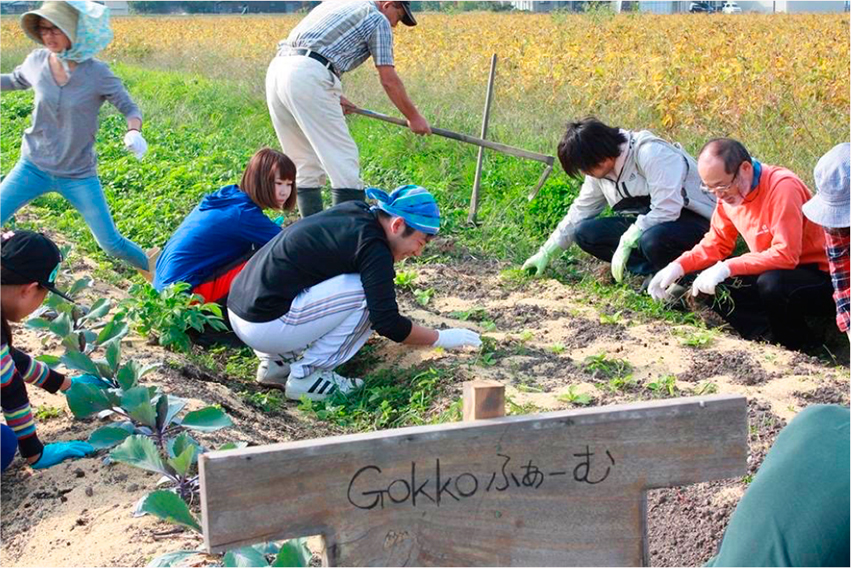 土づくりから野菜ができるまでの流れを体験