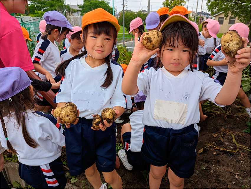 野菜の収穫体験