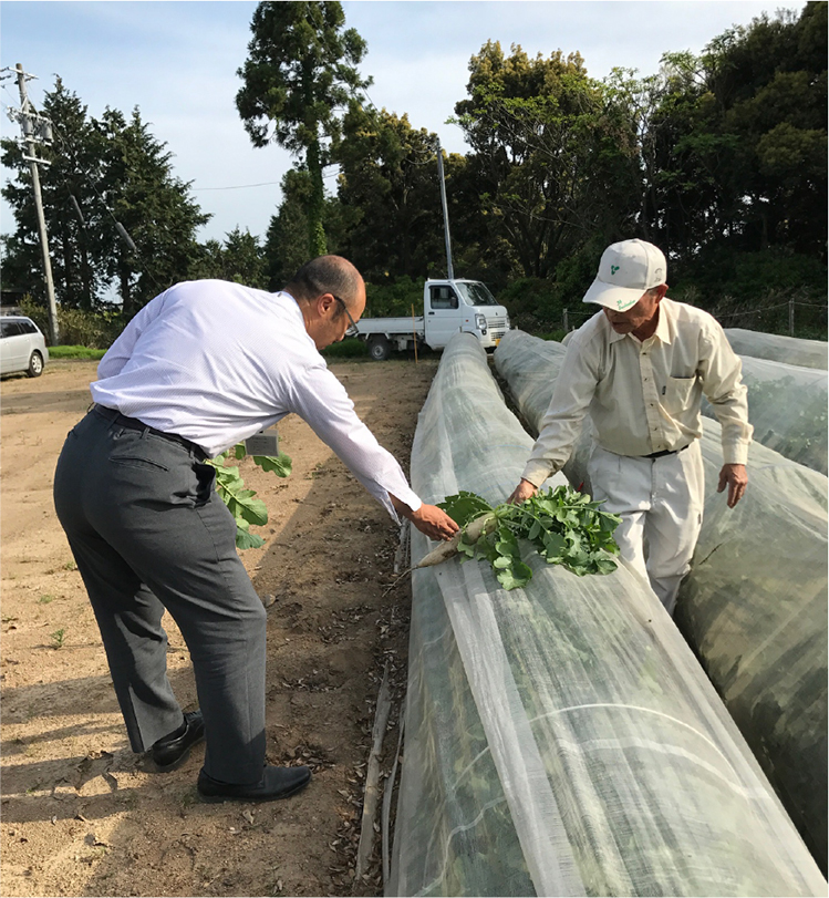 給食現場と生産現場をつなぐ体制（地産地消コーディネーターによる出荷野菜の調整）