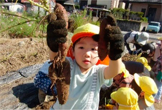 芋掘りの様子