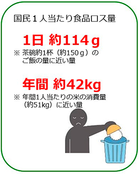 国民1人当たり食品ロス量