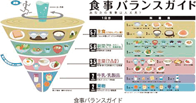 食事バランスガイド