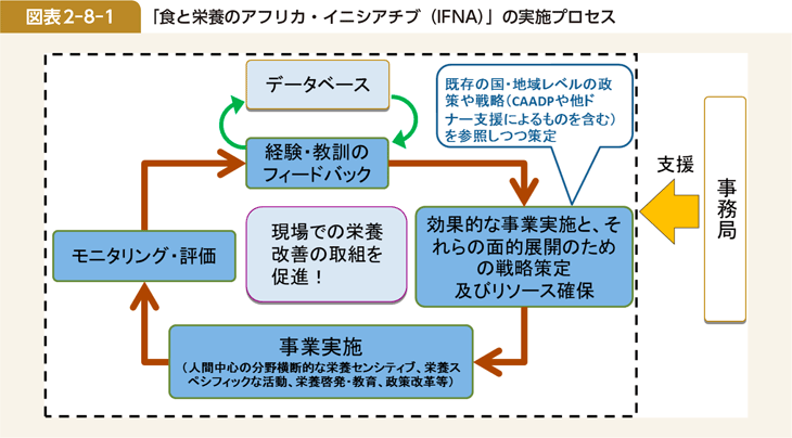 図表2-8-1 「食と栄養のアフリカ・イニシアチブ(IFNA)」の実施プロセス
