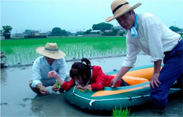 ボートでの田植えの様子