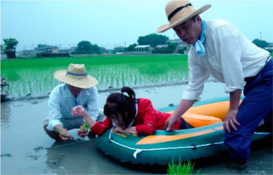 ボートでの田植えの様子