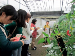 「食育の日」現地学習