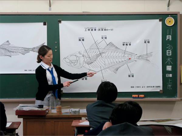 魚の骨の構造を説明