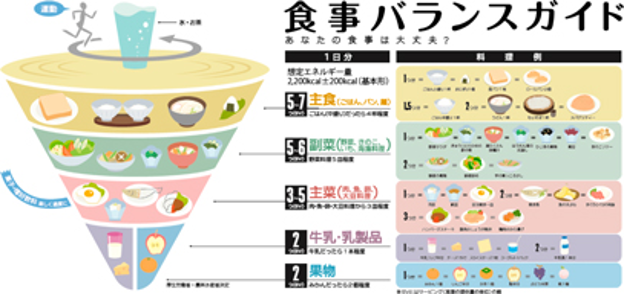 食事バランスガイド