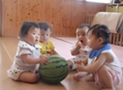 すいかとふれあう幼児たち