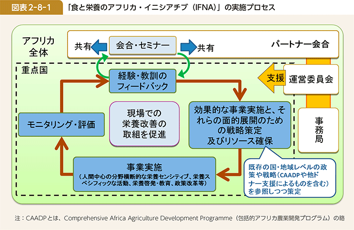 図表2-8-1 「食と栄養のアフリカ・イニシアチブ（IFNA）」の実施プロセス