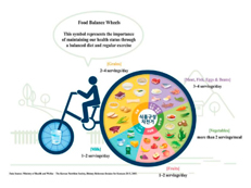 「Food balance wheel」