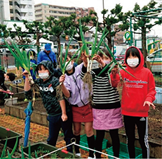 足立区（あだちく）立栗原北（くりはらきた）小学校の児童が収穫した「千住（せんじゅ）ネギ」