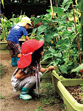 野菜の生育を観察する園児