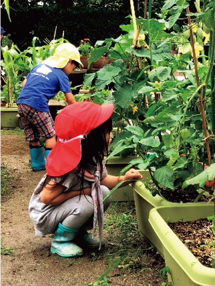 野菜の生育を観察する園児