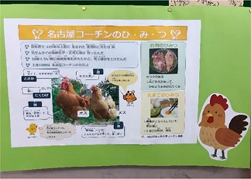 「名古屋コーチン」の説明資料