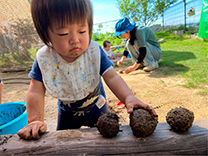 泥団子作り