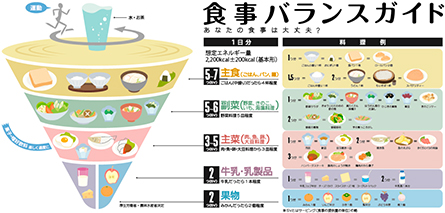 「食事バランスガイド」