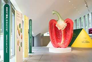 「野菜とデザイン」展
