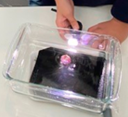 霧箱（マントルに光をあてて放射線の飛跡を見る実験）