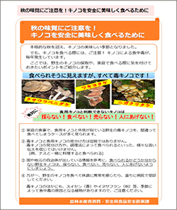 「秋の味覚にご注意を！キノコを安全に美味しく食べるために」
