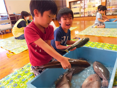 魚に触れる魚触