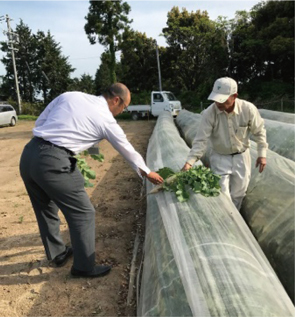 給食現場と生産現場をつなぐ体制（地産地消コーディネーターによる出荷野菜の調整）