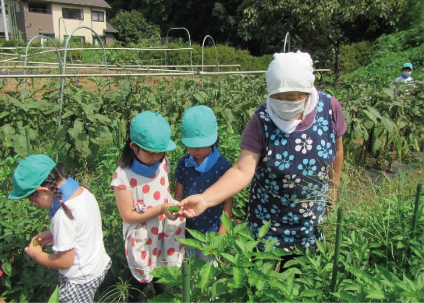 保育園児の収穫体験