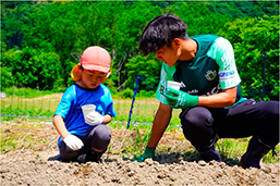 さつまいもの苗植えをする親子の様子