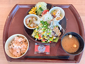 プレートにのったバランスの良い食事