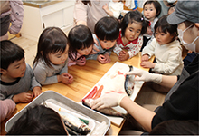 ニシンをさばく大人とその様子を見つめる子供たち