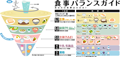 「食事バランスガイド」の説明紙