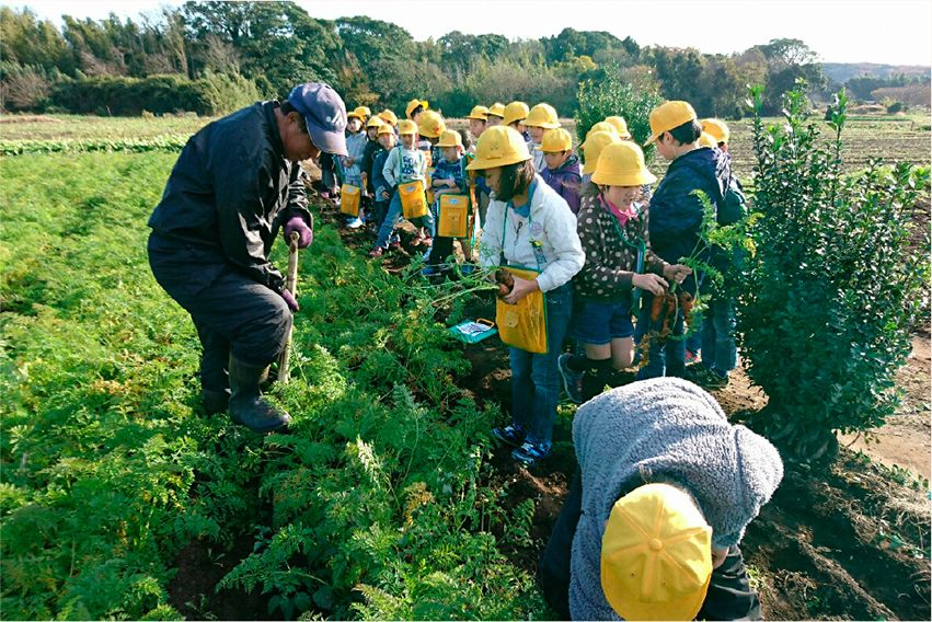 黄色の帽子をかぶった大勢の小学生が生産者と畑で緑に触れている。