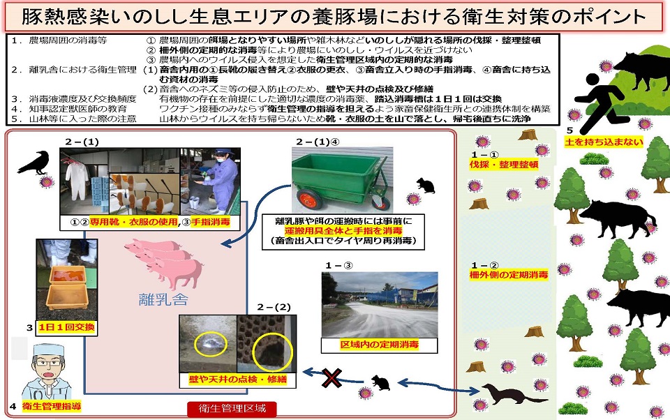 豚熱感染イノシシ生息エリアの養豚場における衛生対策のポイント