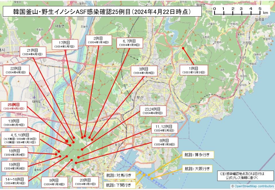 韓国釜山野生イノシシASF発生地図（釜山野生イノシシ25例目）